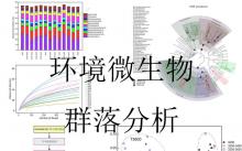 微生物群落多樣性--擴增子測序